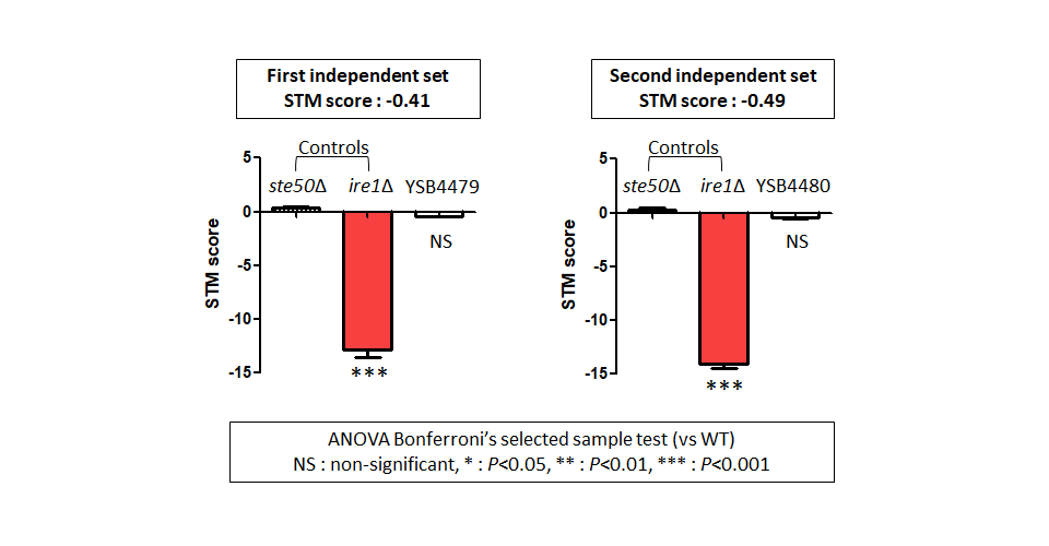 STM murine host model data