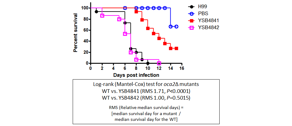 Galleria mellonella virulence data