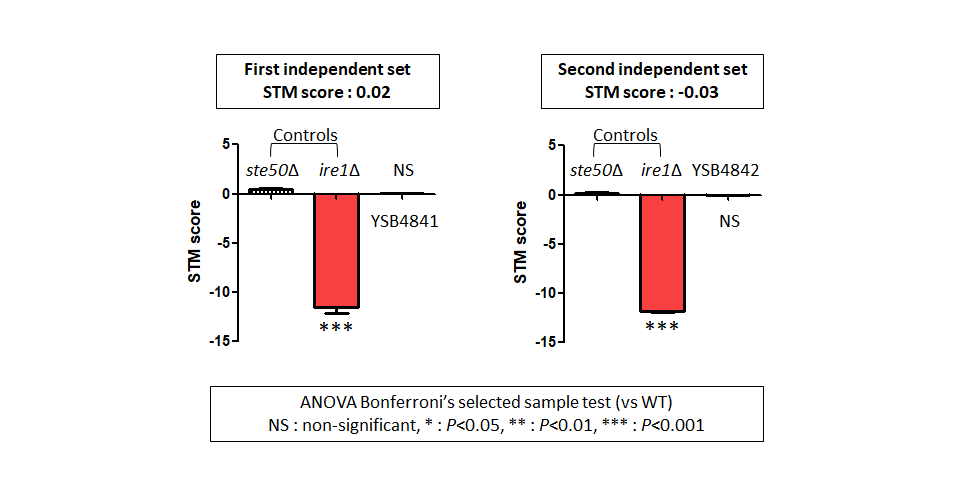 STM murine host model data