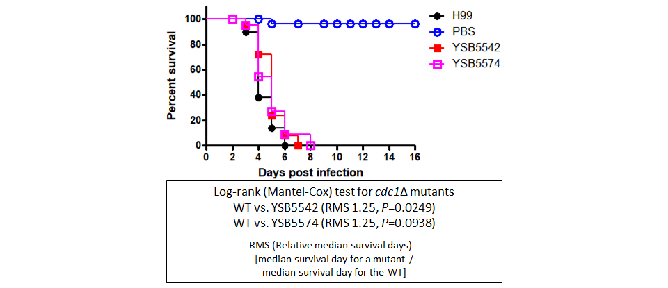 Galleria mellonella virulence data