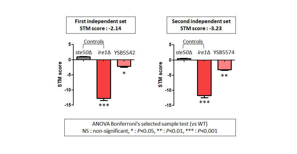STM murine host model data