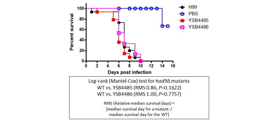 Galleria mellonella virulence data