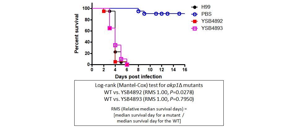 Galleria mellonella virulence data