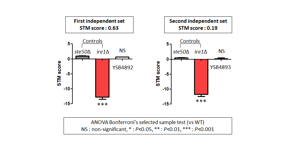 STM murine host model data