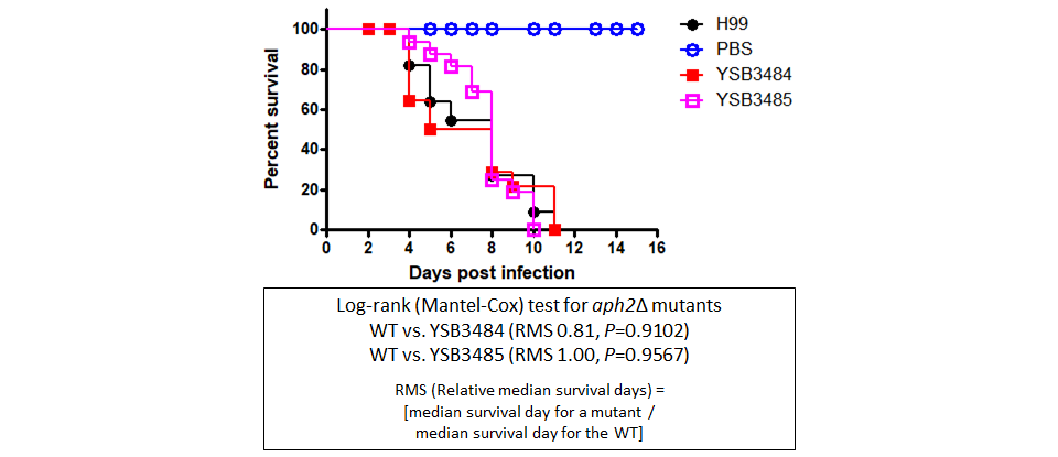 Galleria mellonella virulence data