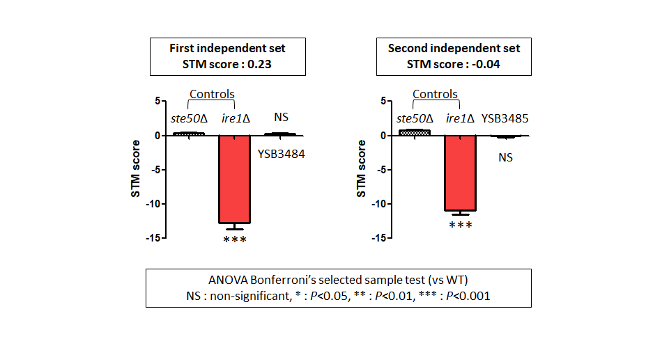 STM murine host model data