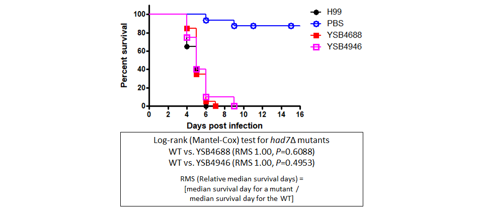 Galleria mellonella virulence data