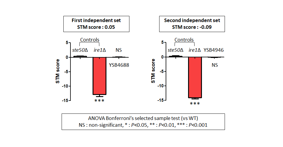 STM murine host model data