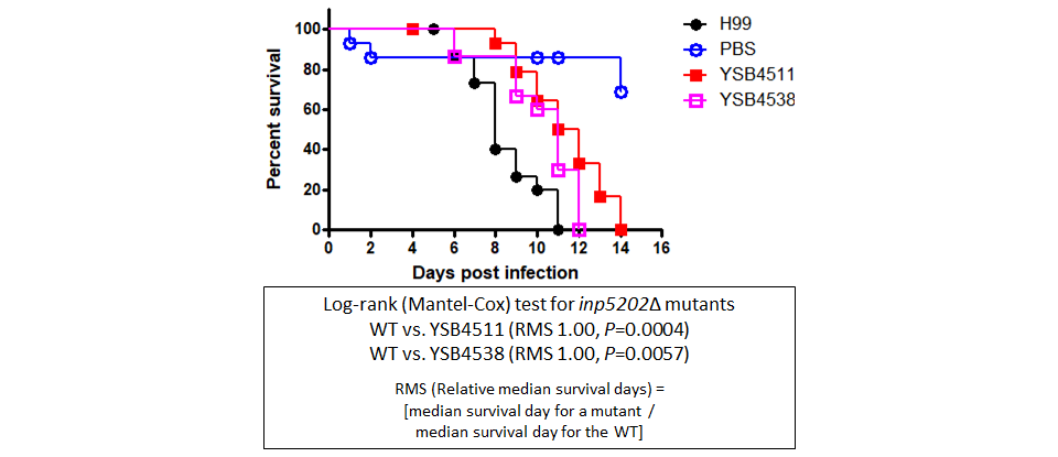 Galleria mellonella virulence data