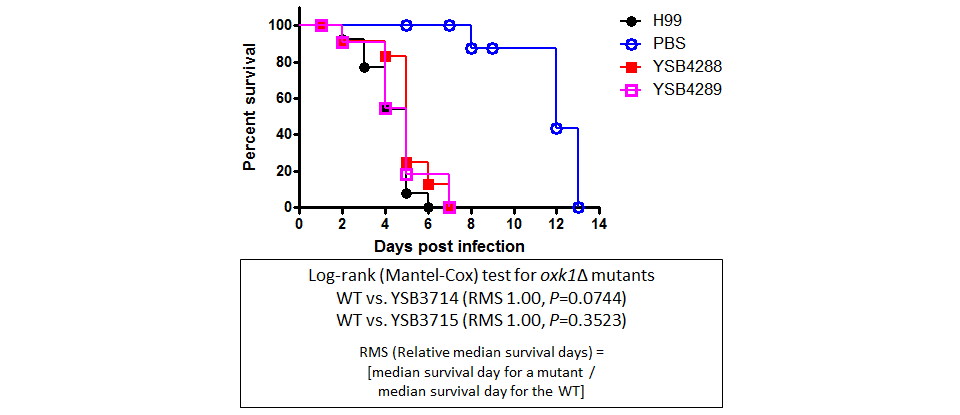 Galleria mellonella virulence data