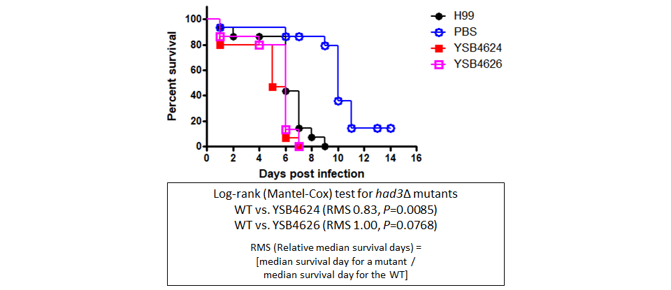 Galleria mellonella virulence data