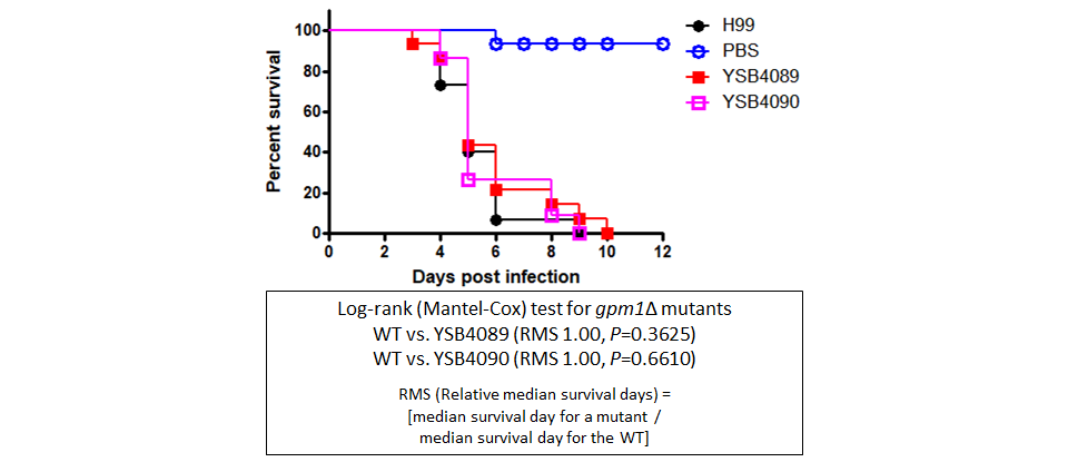 Galleria mellonella virulence data