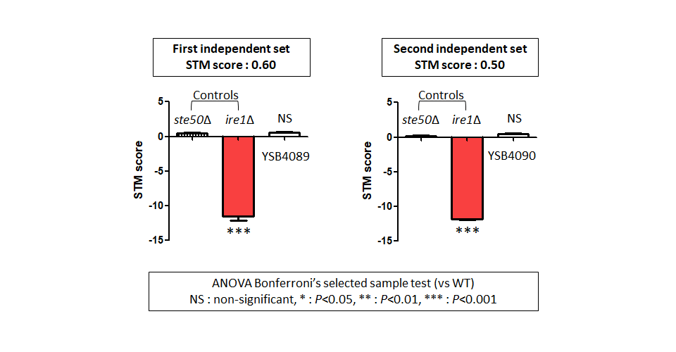 STM murine host model data