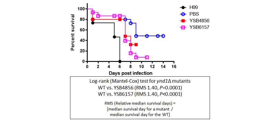 Galleria mellonella virulence data