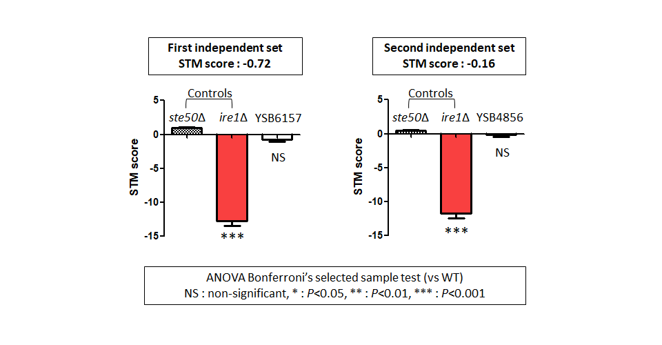 STM murine host model data