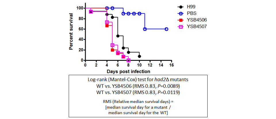 Galleria mellonella virulence data