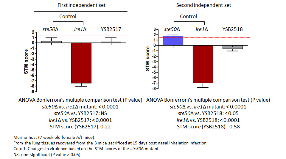 STM murine host model data for CNAG_02066T0