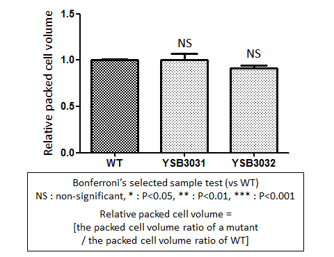 Capsule phenotype for CNAG_02700T0