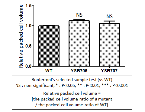 Capsule phenotype for CNAG_03279T0