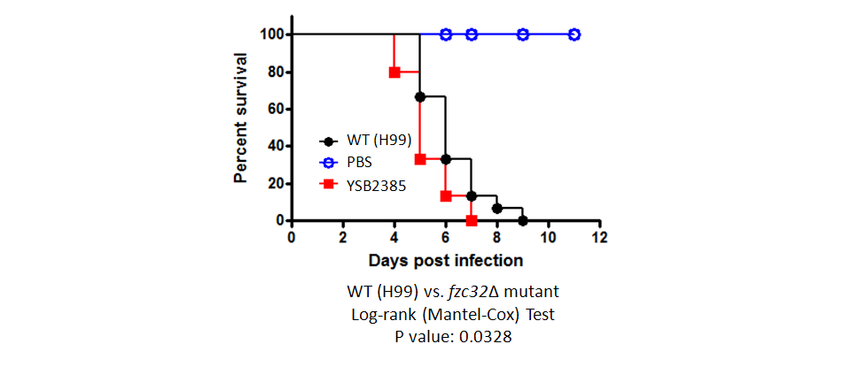 Galleria mellonella virulence data for CNAG_03768T0