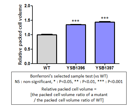 Capsule phenotype for CNAG_04353T0