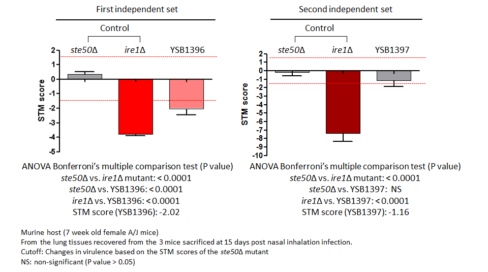 STM murine host model data for CNAG_04353T0