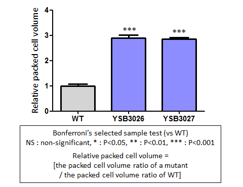 Capsule phenotype for CNAG_04586T0