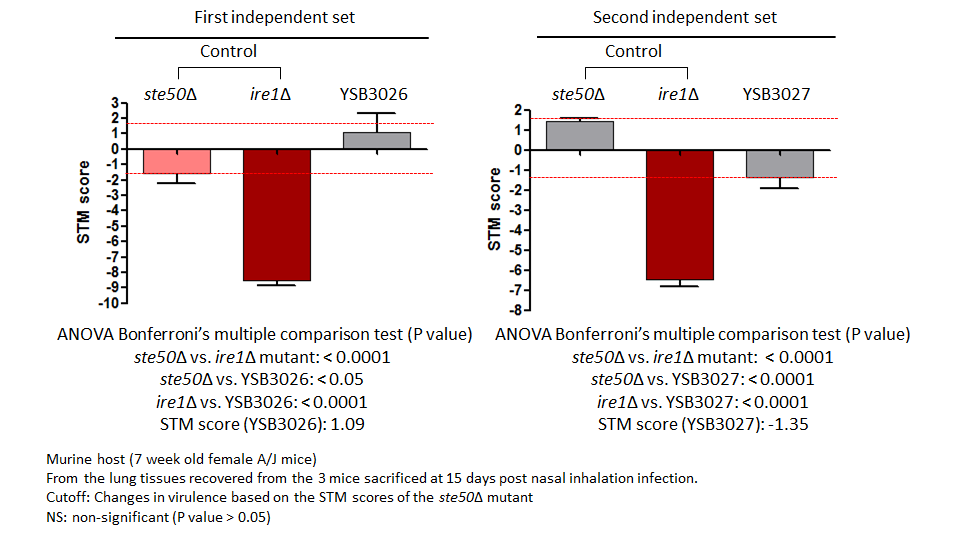 STM murine host model data for CNAG_04586T0