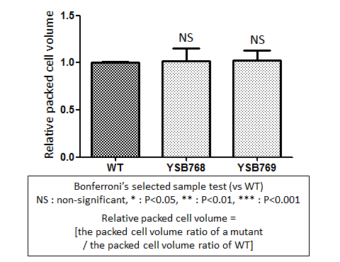 Capsule phenotype for CNAG_04637T0