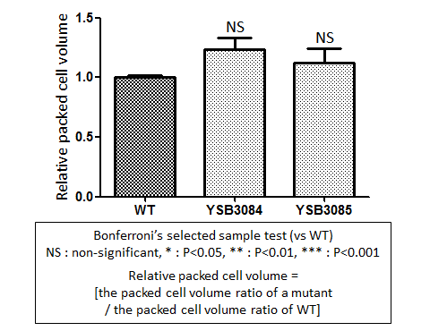 Capsule phenotype for CNAG_04774T1