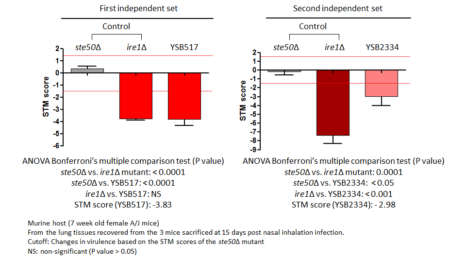 STM murine host model data for CNAG_04841T0