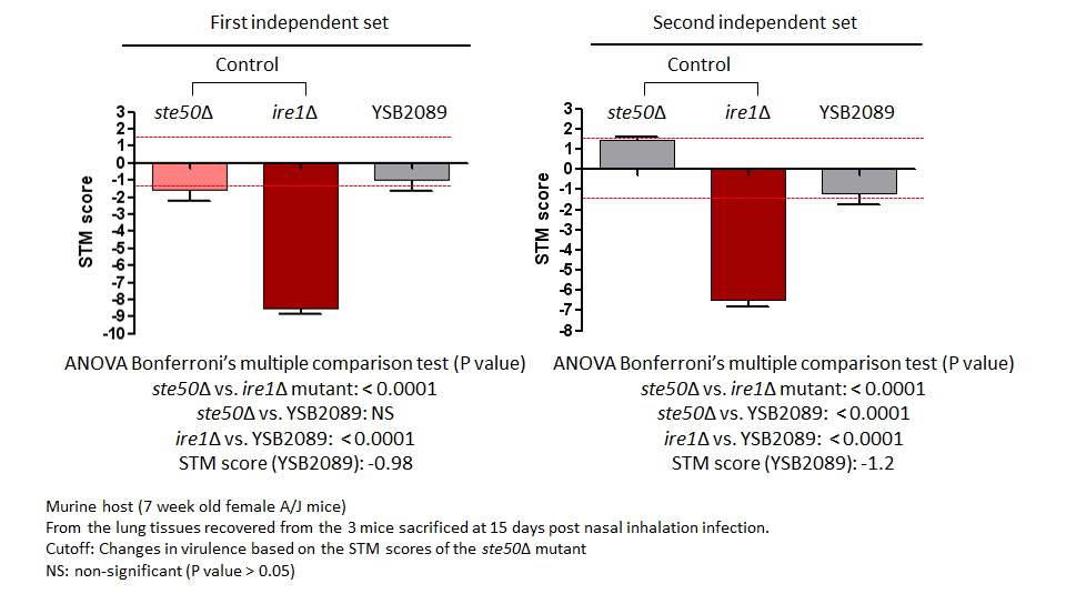 STM murine host model data for CNAG_06283T0