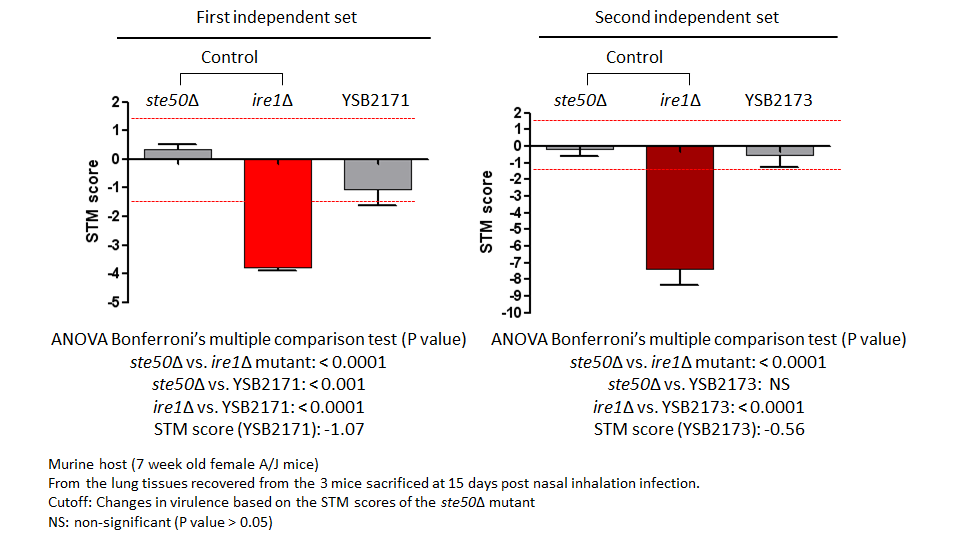STM murine host model data for CNAG_06719T0