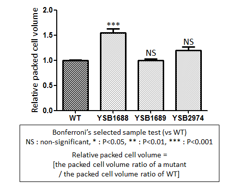 Capsule phenotype for CNAG_07011T0