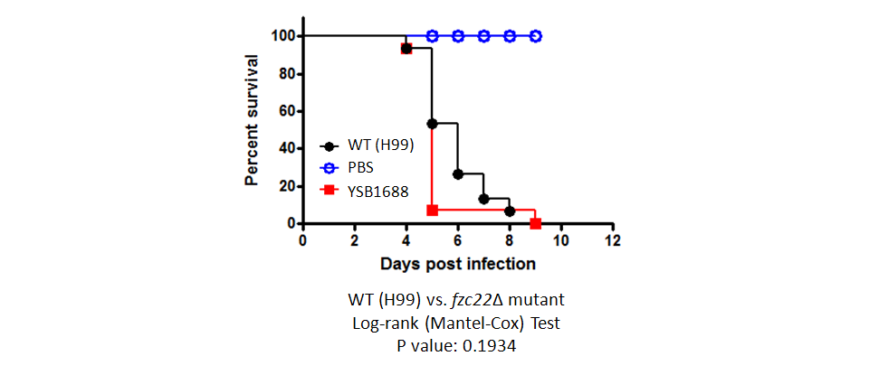 Galleria mellonella virulence data for CNAG_07011T0