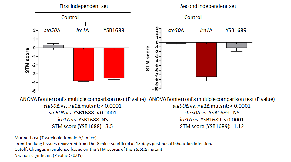 STM murine host model data for CNAG_07011T0
