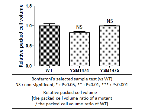 Capsule phenotype for CNAG_07940T0