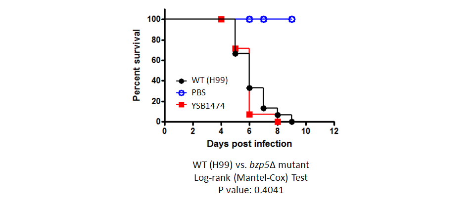 Galleria mellonella virulence data for CNAG_07940T0