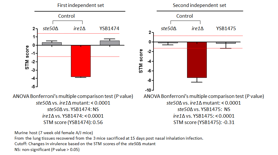 STM murine host model data for CNAG_07940T0